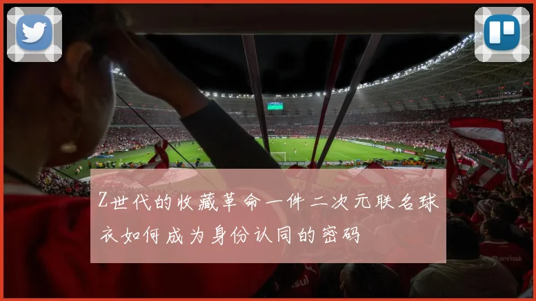 Z世代的收藏革命一件二次元联名球衣如何成为身份认同的密码