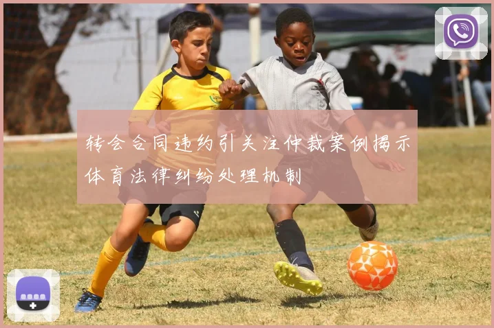 转会合同违约引关注仲裁案例揭示体育法律纠纷处理机制