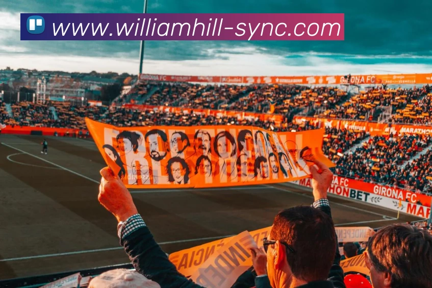 多媒体互动体验